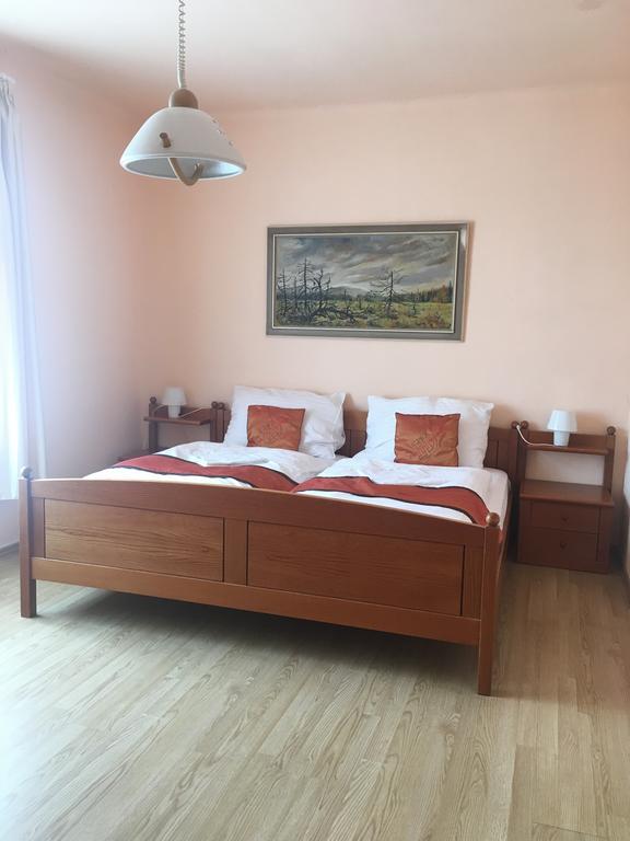 Pension Vidhous 1 Франтишкови-Лазне Экстерьер фото